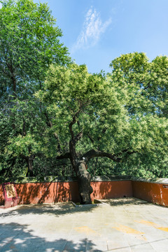 北京门头沟区潭柘寺景区风光