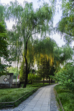 北京皇家园林颐和园园林风光