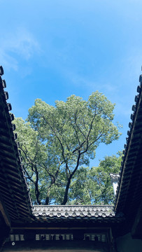 江西婺源李坑景区天井