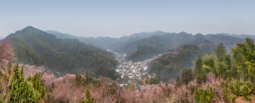 卖花渔村全景图