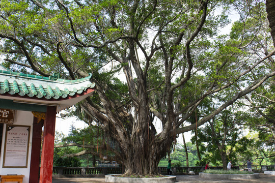 湖光山色水光倒影古寺