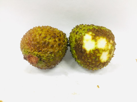 荔枝