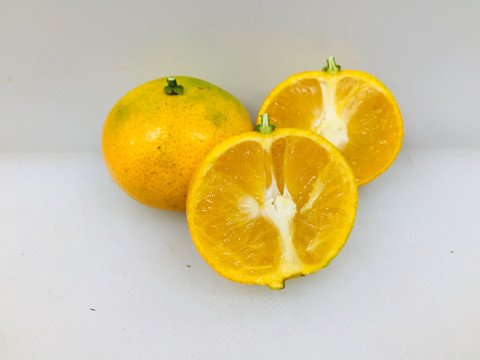 金秋砂糖橘