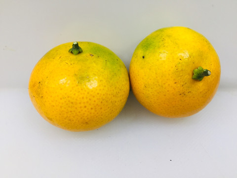 金秋砂糖橘
