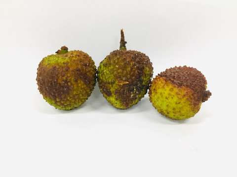 荔枝