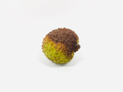 荔枝