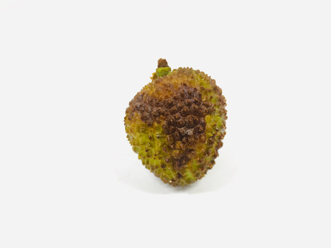 荔枝
