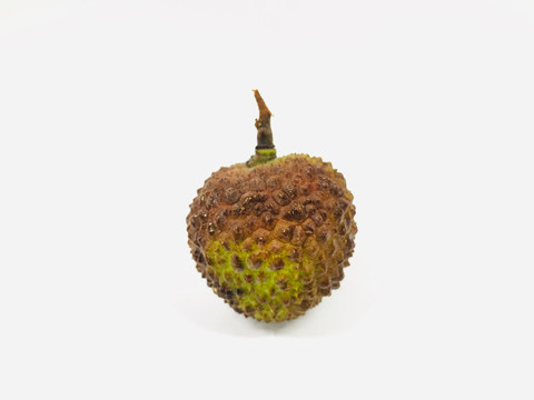 荔枝