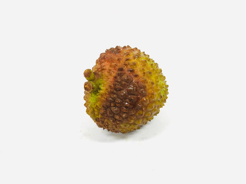 荔枝