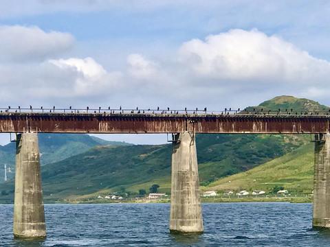 一侧站满鸟的朝鲜淸城铁路桥