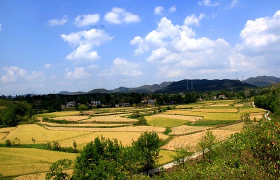 西电东送大美中国