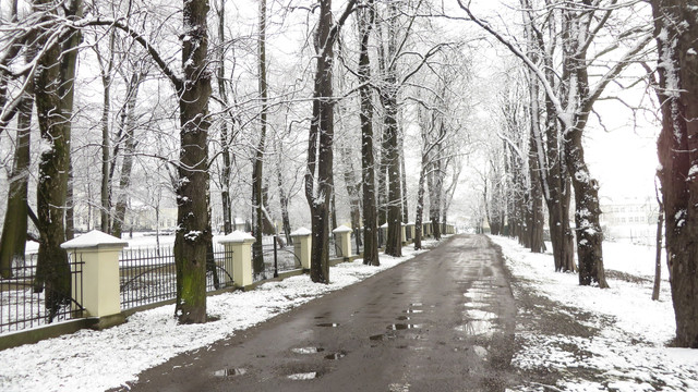 雪后街道冬天积雪