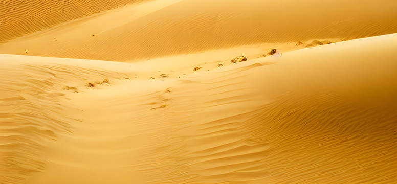 金黄沙漠