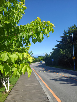 大连海之韵公园观光车