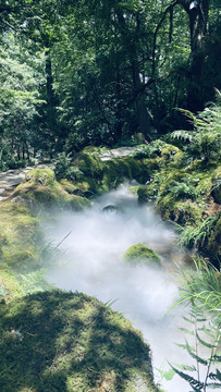 江西婺源篁岭风景