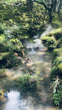 江西婺源篁岭风景