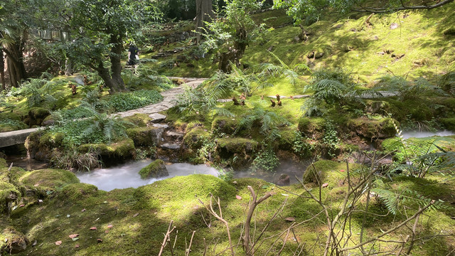 江西婺源篁岭风景