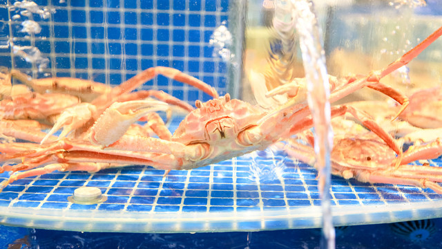 海鲜长脚蟹