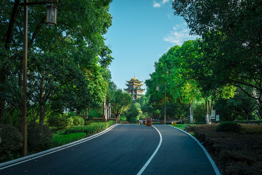 鸿恩寺森林公园