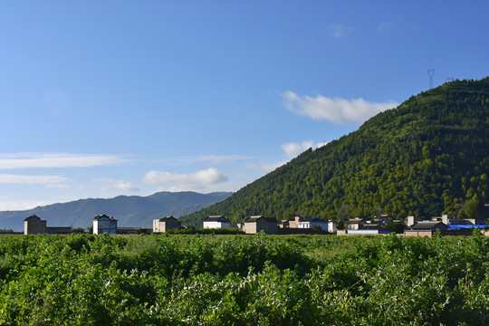 乡村风光