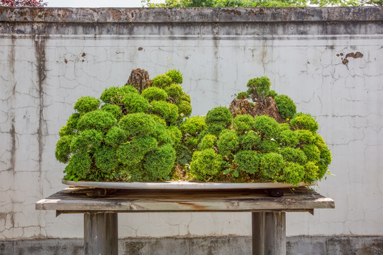 鲍家花园