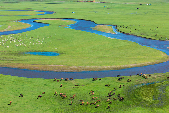 草原牧场马群羊群河流