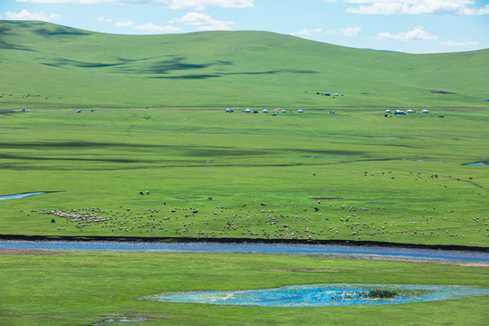 夏天草原绿色河流蒙古包
