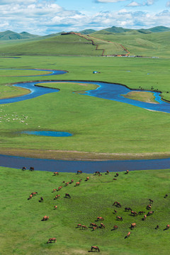 草原牧场马群羊群河流