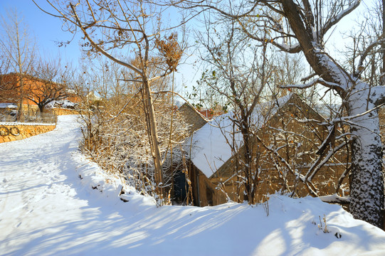 乡村雪景