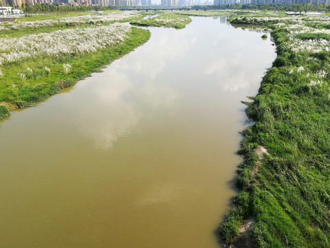 静静的河流图片大全 静静的河流设计素材 静静的河流模板下载 静静的河流图库 昵图网soso Nipic Com