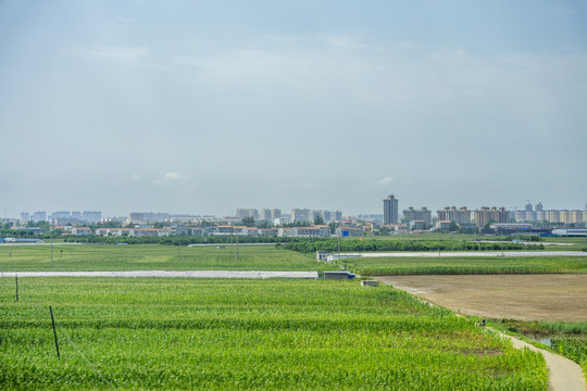 江苏北部农村风光