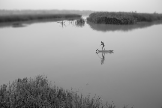 杨凌渭河湿地