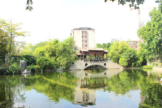 佛山梁园湖面