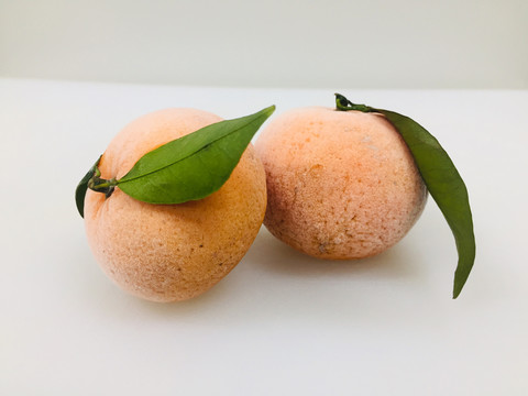 沃柑