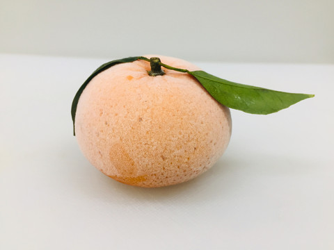 沃柑