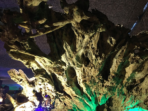 展厅彩灯光下的古树跟