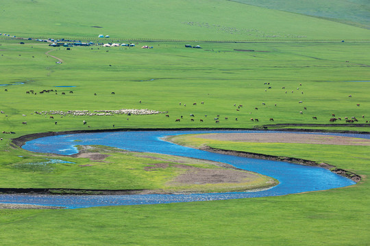 草原牧场羊群马群河流