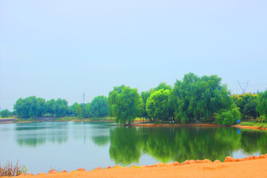 湿地公园