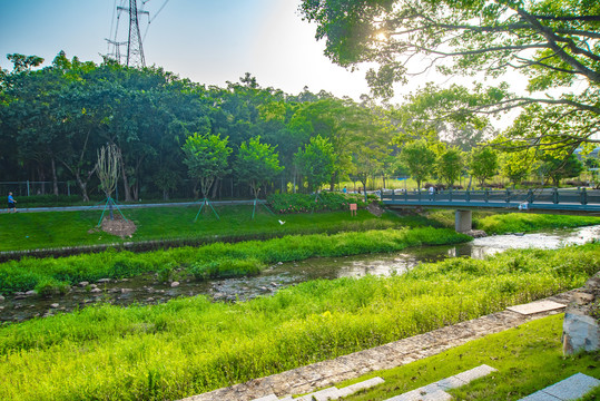 碧道风景