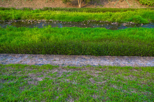 河道风景