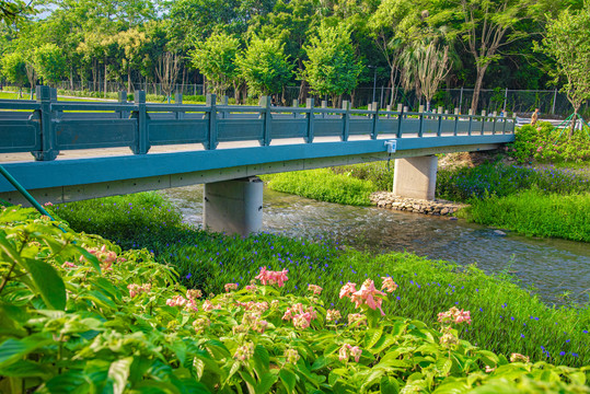 石桥晨景