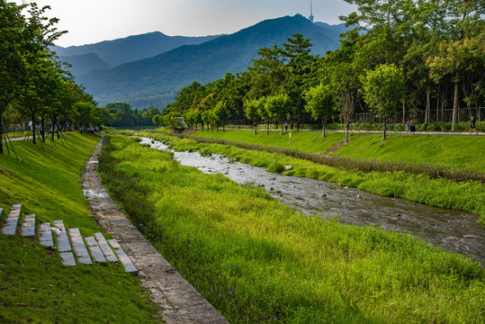 静静的河岸