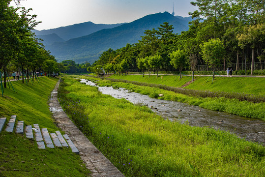 河道整治工程