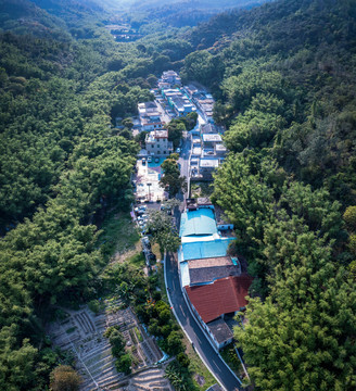 中山市和平村