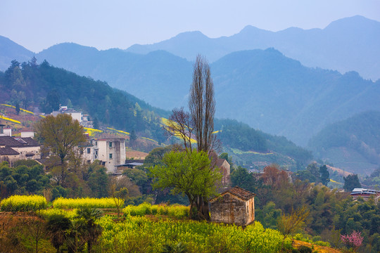 歙县坡山村