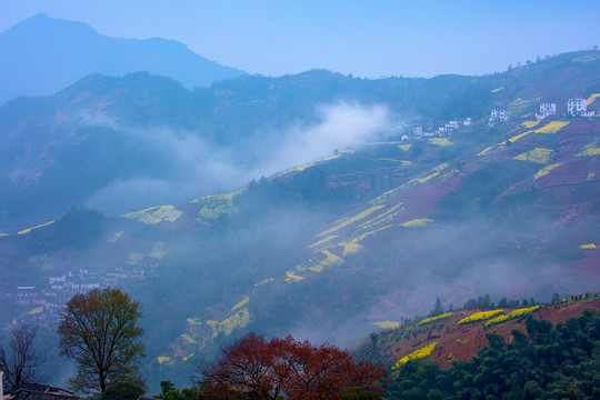 歙县坡山村云雾