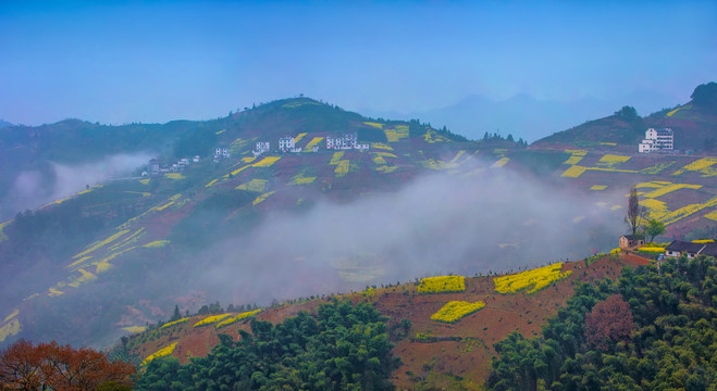 歙县坡山村全景图