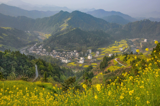 歙县石潭下汰村油菜花