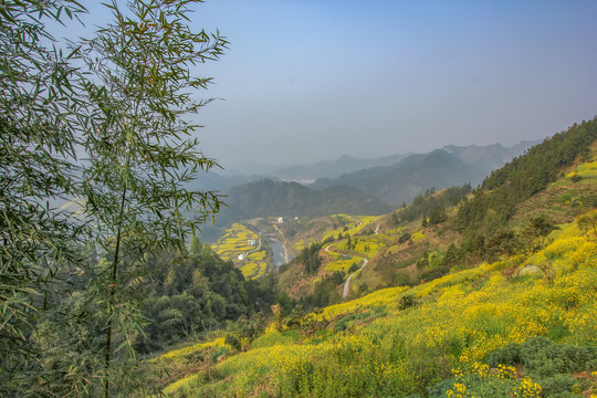 歙县石潭下汰村油菜花