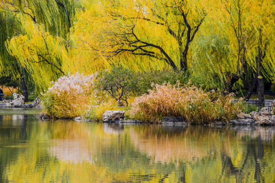 北京紫竹院公园秋日景色